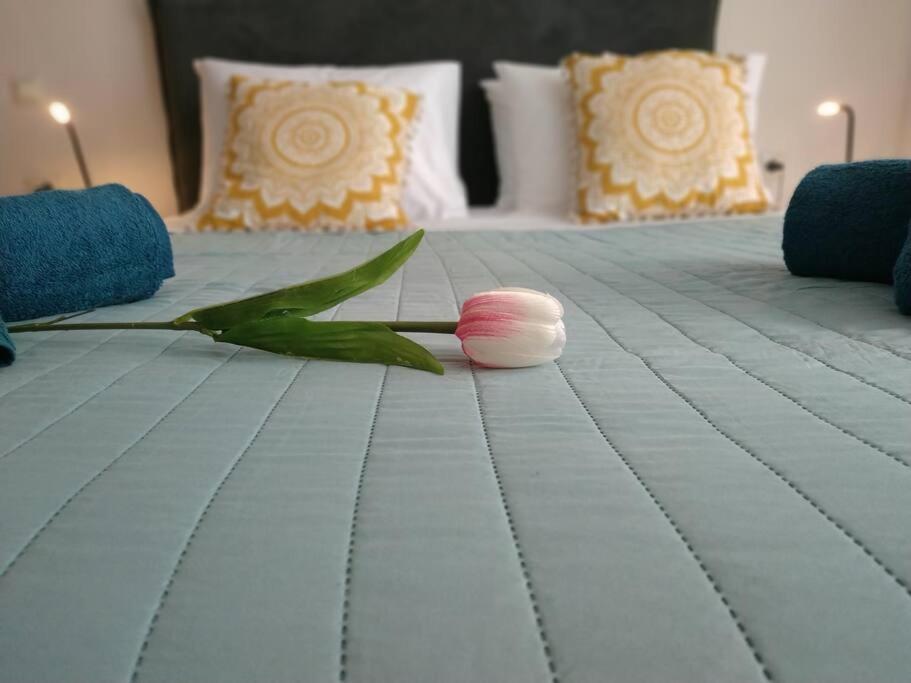 Stelisioanna Apartment Chania  Ngoại thất bức ảnh